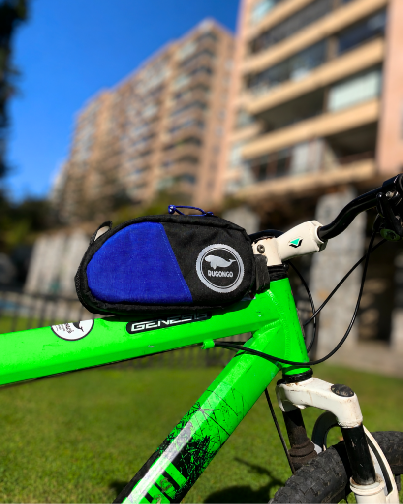 Bolso para cuadro Kawaki